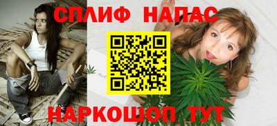 молекула духа Гатчина