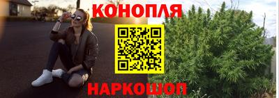 молекула духа Гатчина