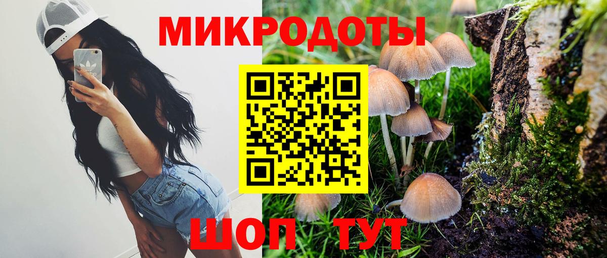 Псилоцибиновые грибы мухоморы  Вход с VPN  Нефтекумск  Псилоцибиновые грибы Psilocybine cubensis 